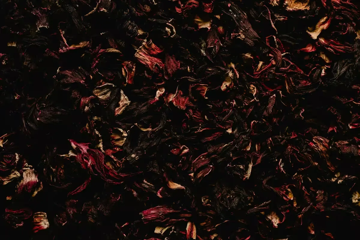 The Crimson Catalyst: Hibiscus in Practice